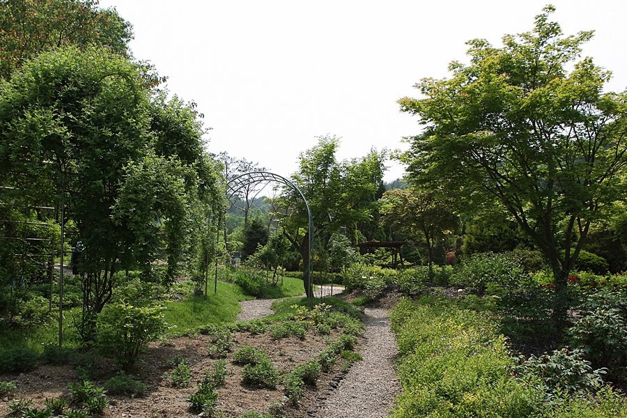 Hwanghaksan Arboretum-骊州郡必去景点