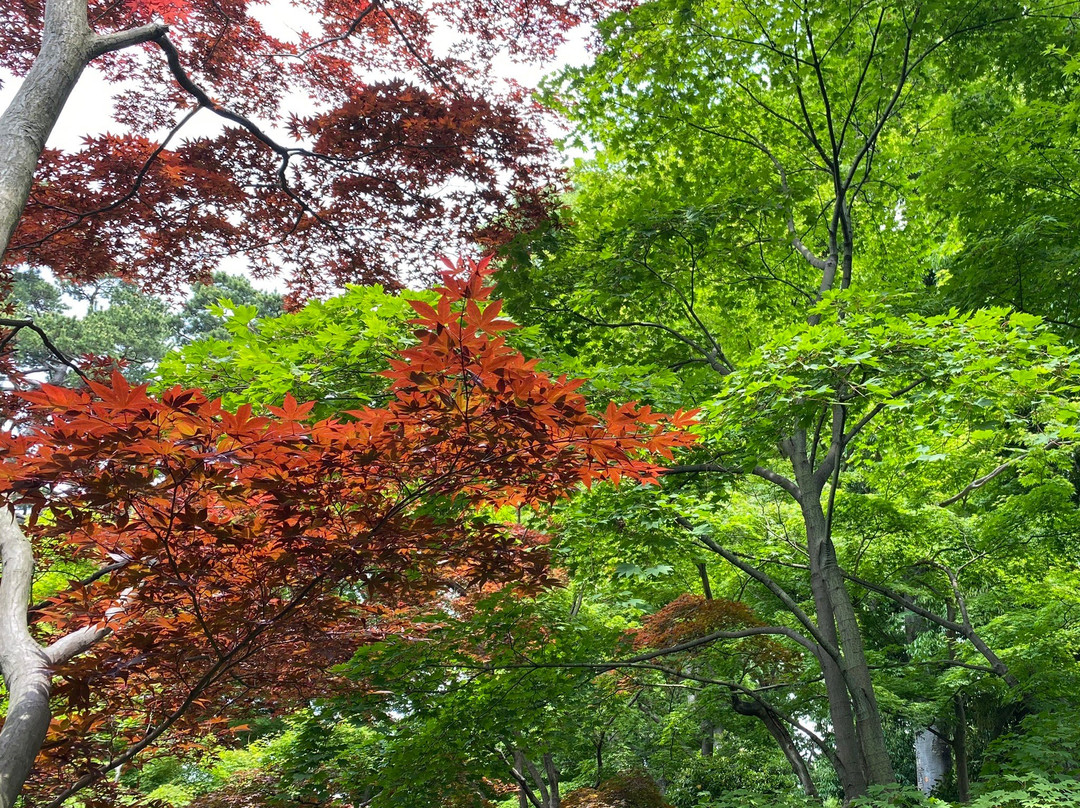 Ootaguro Park-Ogikubo必去景点