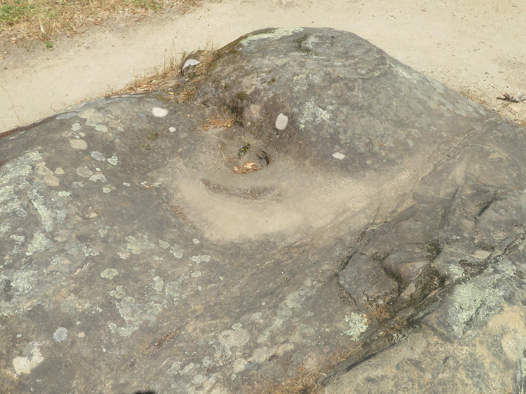 Chitactac-Adams Heritage County Park-吉尔罗伊必去景点