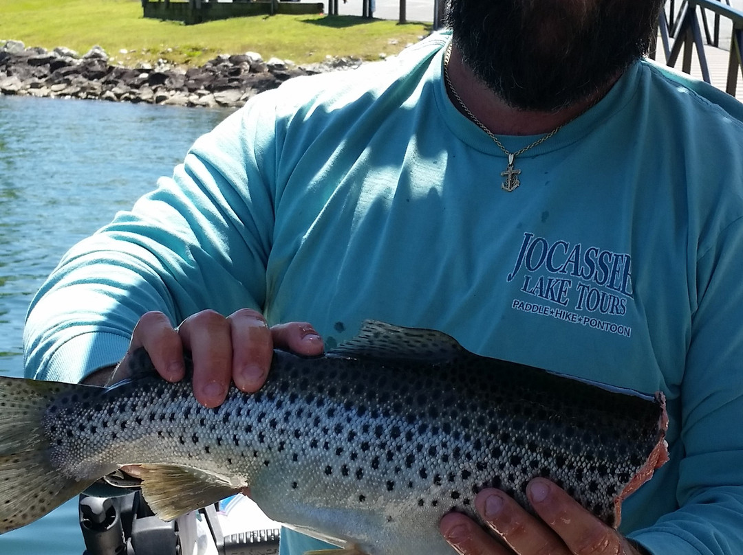 Jocassee Lake Tours-Salem必去景点