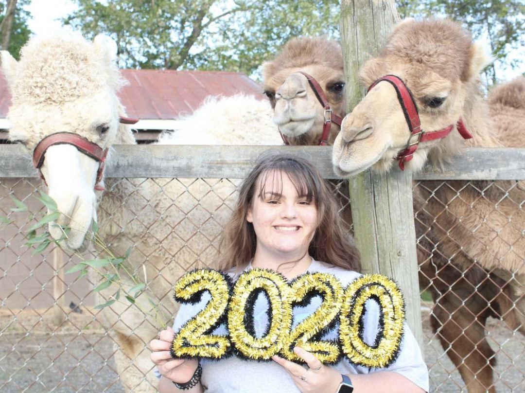 Natural Bridge Zoo-天然桥必去景点