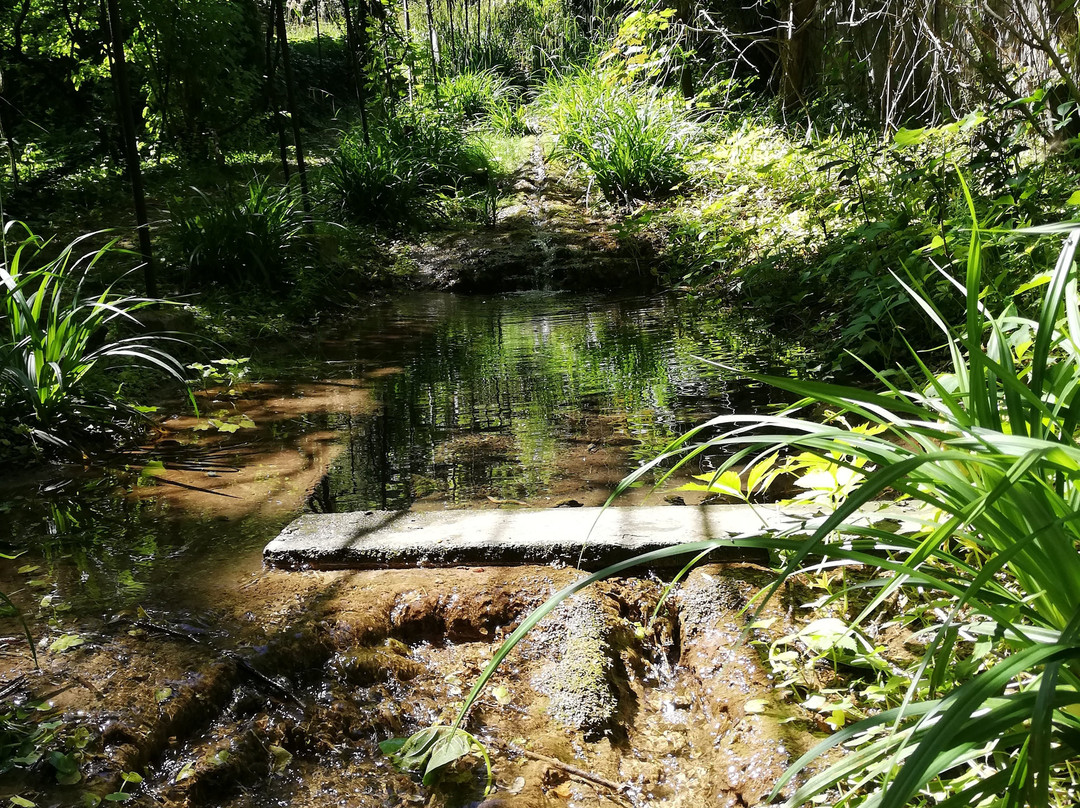 Jardin de la Biodiversite景点图片