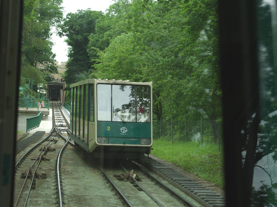 Lanova draha na Petrin (Rail on Petrin)景点图片