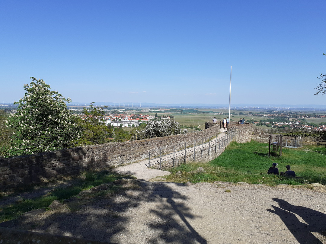 Burg Neuleiningen景点图片