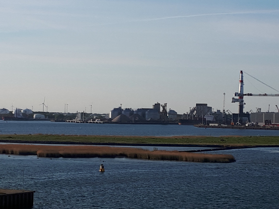 Port of Rostock景点图片