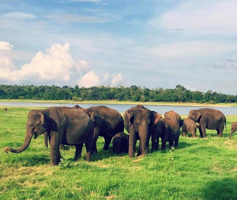 Nandika de silva-瓦都瓦必去景点