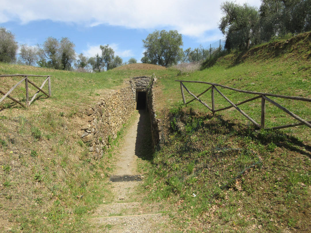 Area Archeologica di Vetulonia景点图片