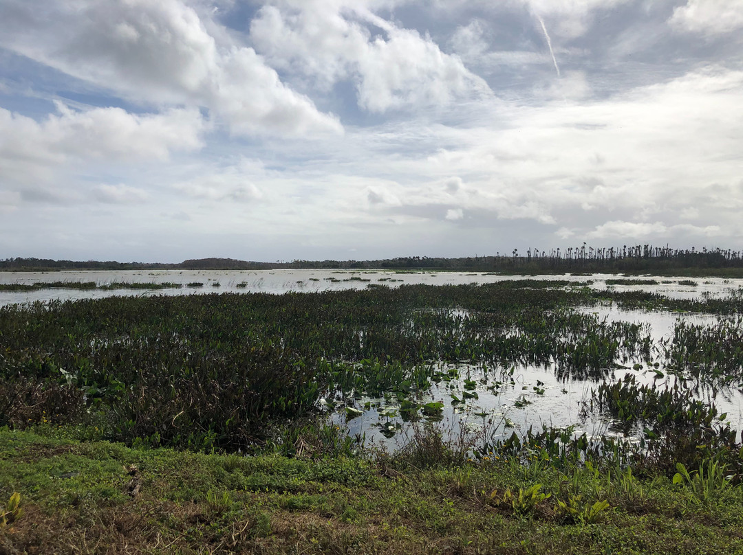Orlando Wetlands-Christmas必去景点
