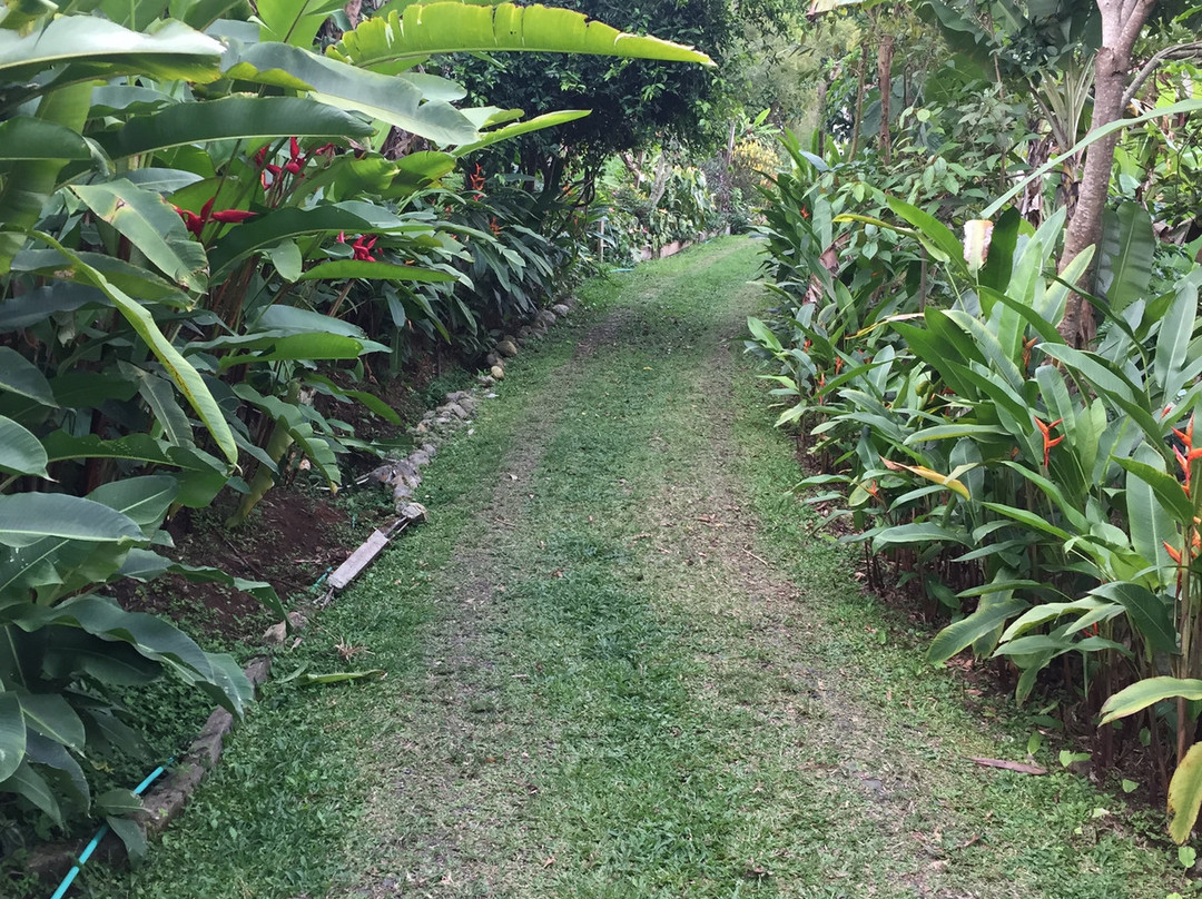 Glamping At Villa Migelita Ecolodge主图