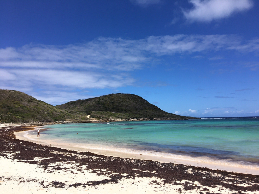 Anse à l'Eau-Saint Francois必去景点