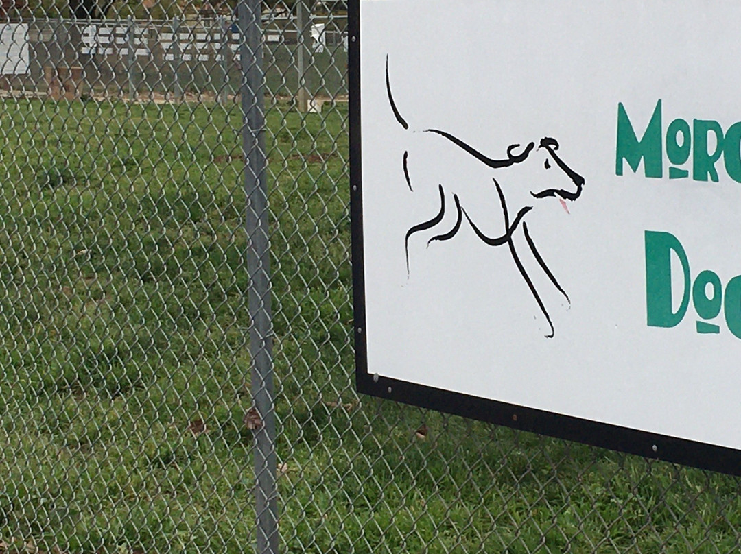 Dog Park - Morgan Hill-摩根希尔必去景点