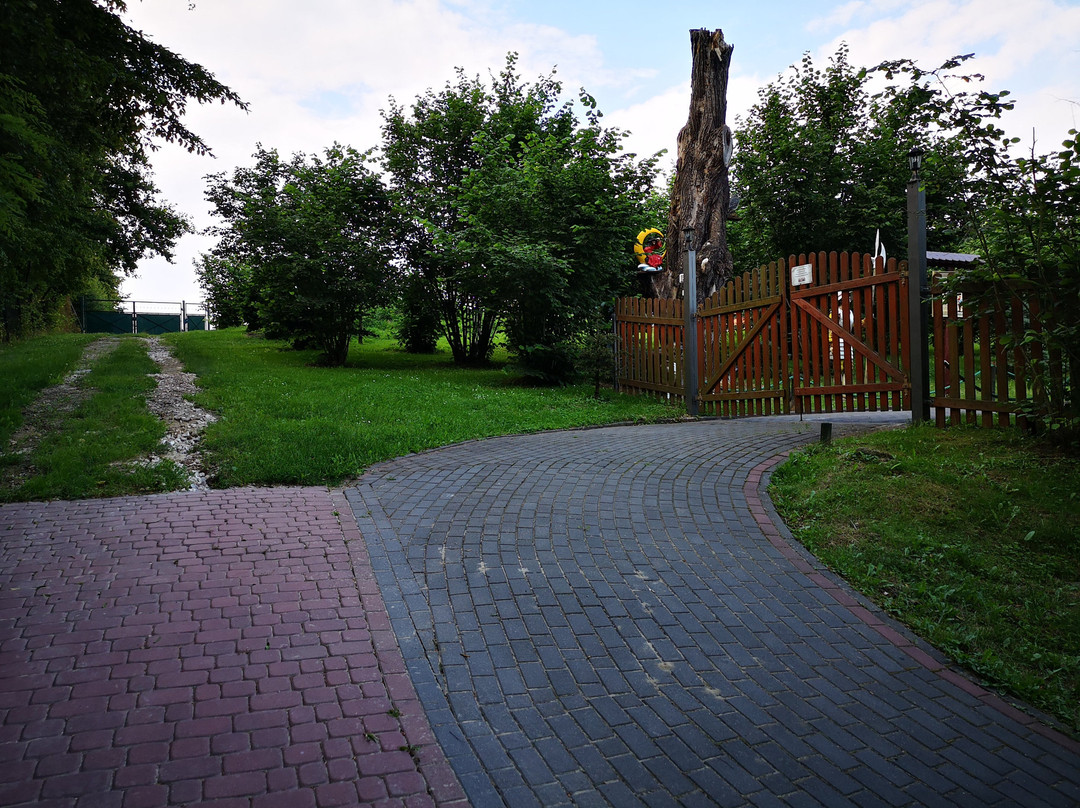 Dinopark Kolacinek景点图片