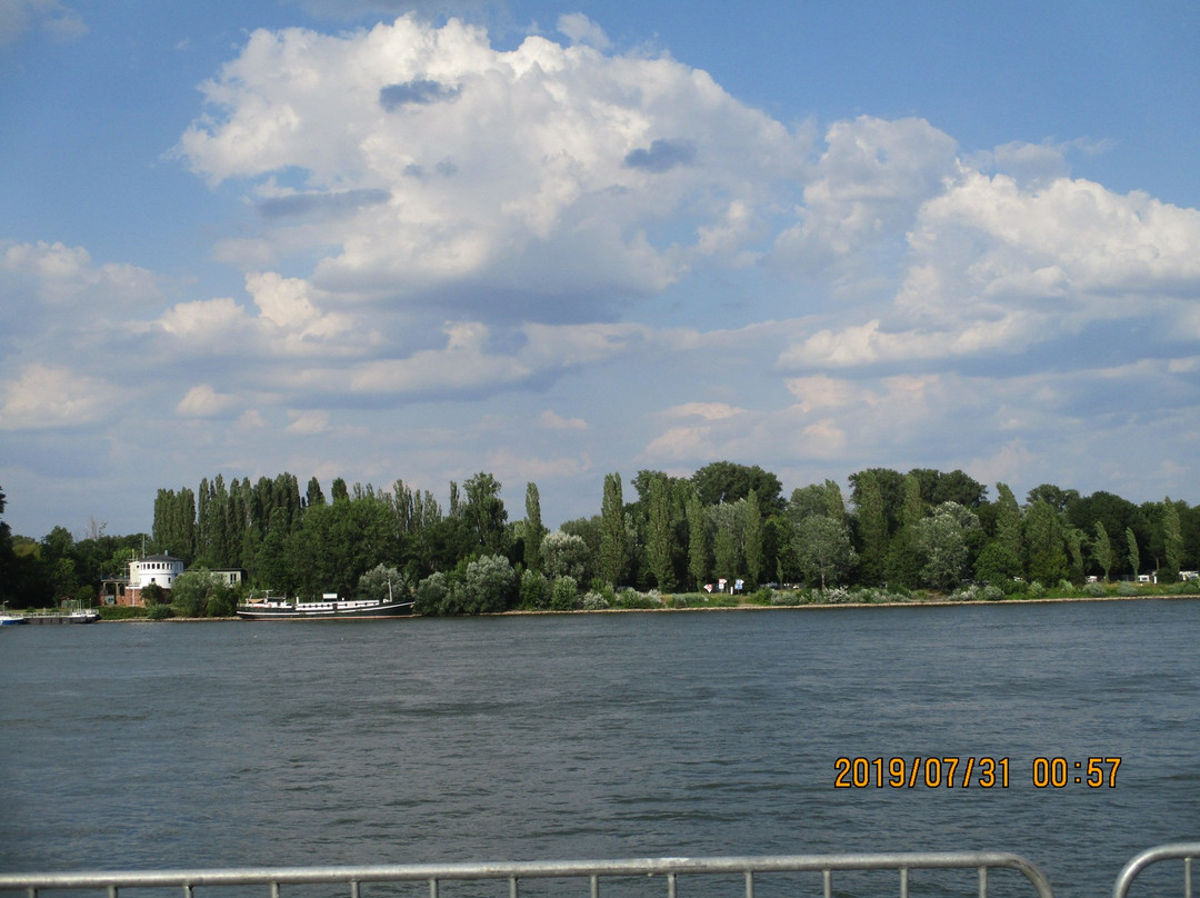 Rheinpromenade景点图片