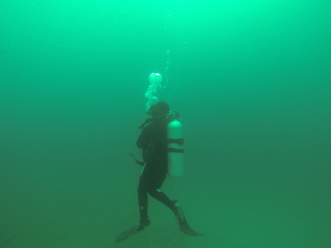 Atacama Diving Centro de Buceo-Bahia Inglesa必去景点