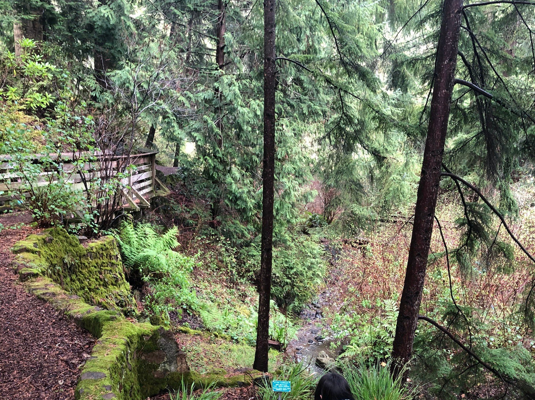 Regional Parks Botanic Garden-伯克利必去景点