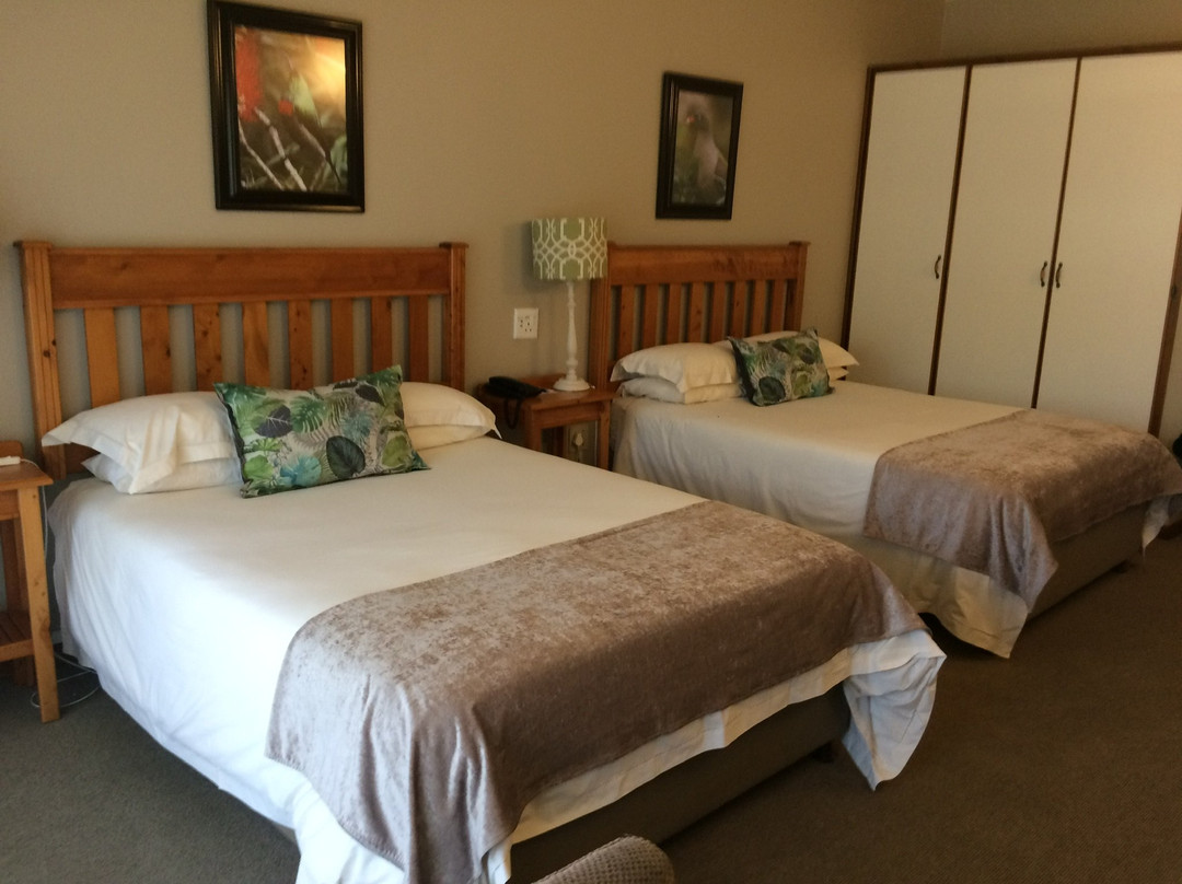 Anew Resort Ingeli Forest主图