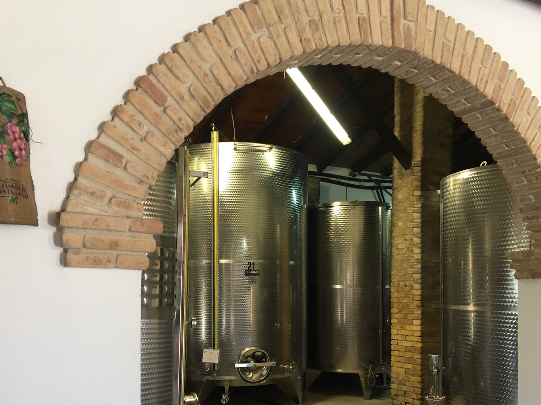 Cantina Olivastri Tommaso-San Vito Chietino必去景点
