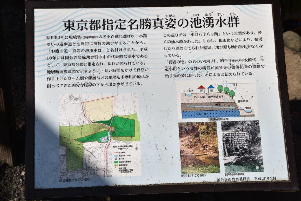 Masugata no Ike Group of Springs/Otaka no Michi-国分寺市必去景点