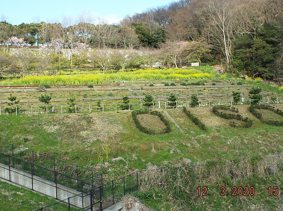 Oiso Sports Park-大矶町必去景点