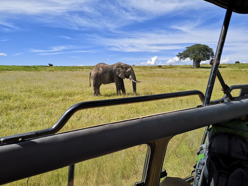 Ruaha National Park景点图片