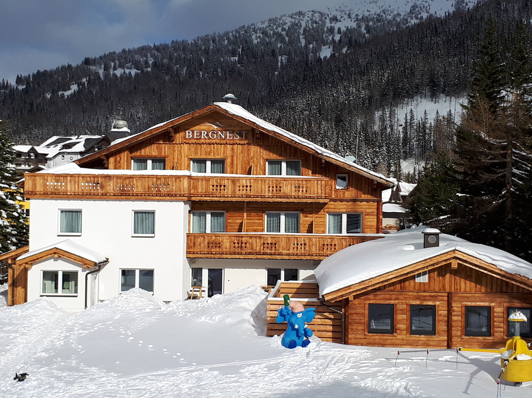 Bergnest - Fruhstuckspension Katschberg主图