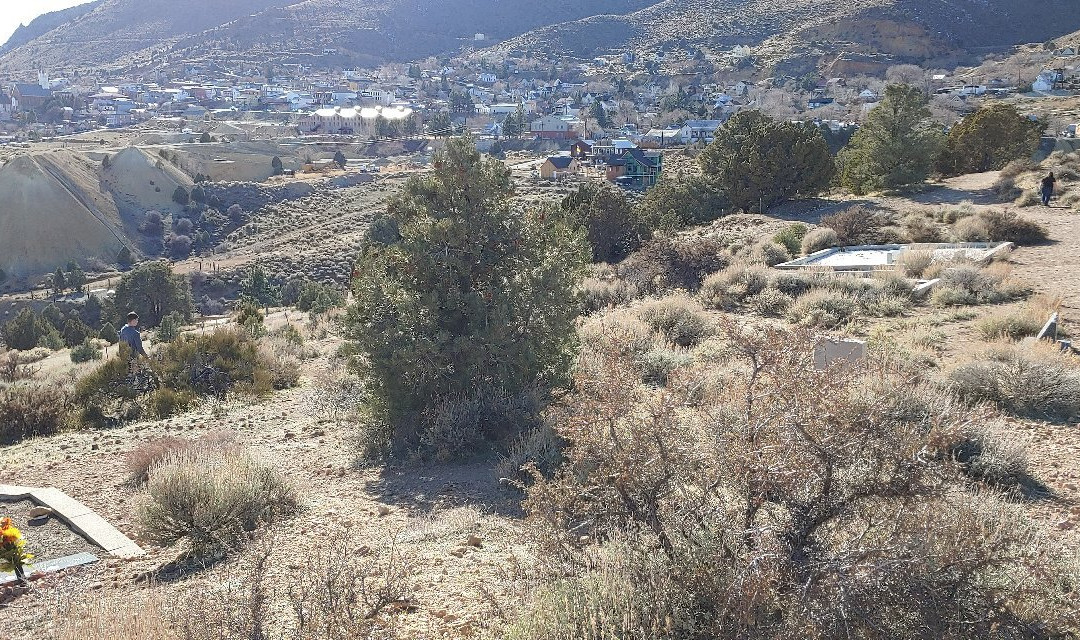 Silver Terrace Cemetery-弗吉尼亚市必去景点
