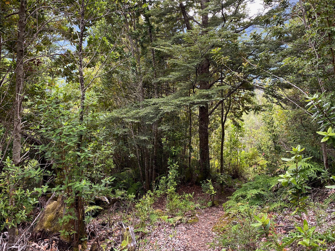 Valle Cochamo-Cochamo必去景点