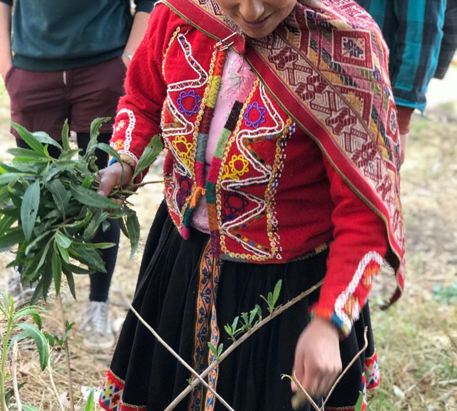Pichinku Fibers-Lamay必去景点