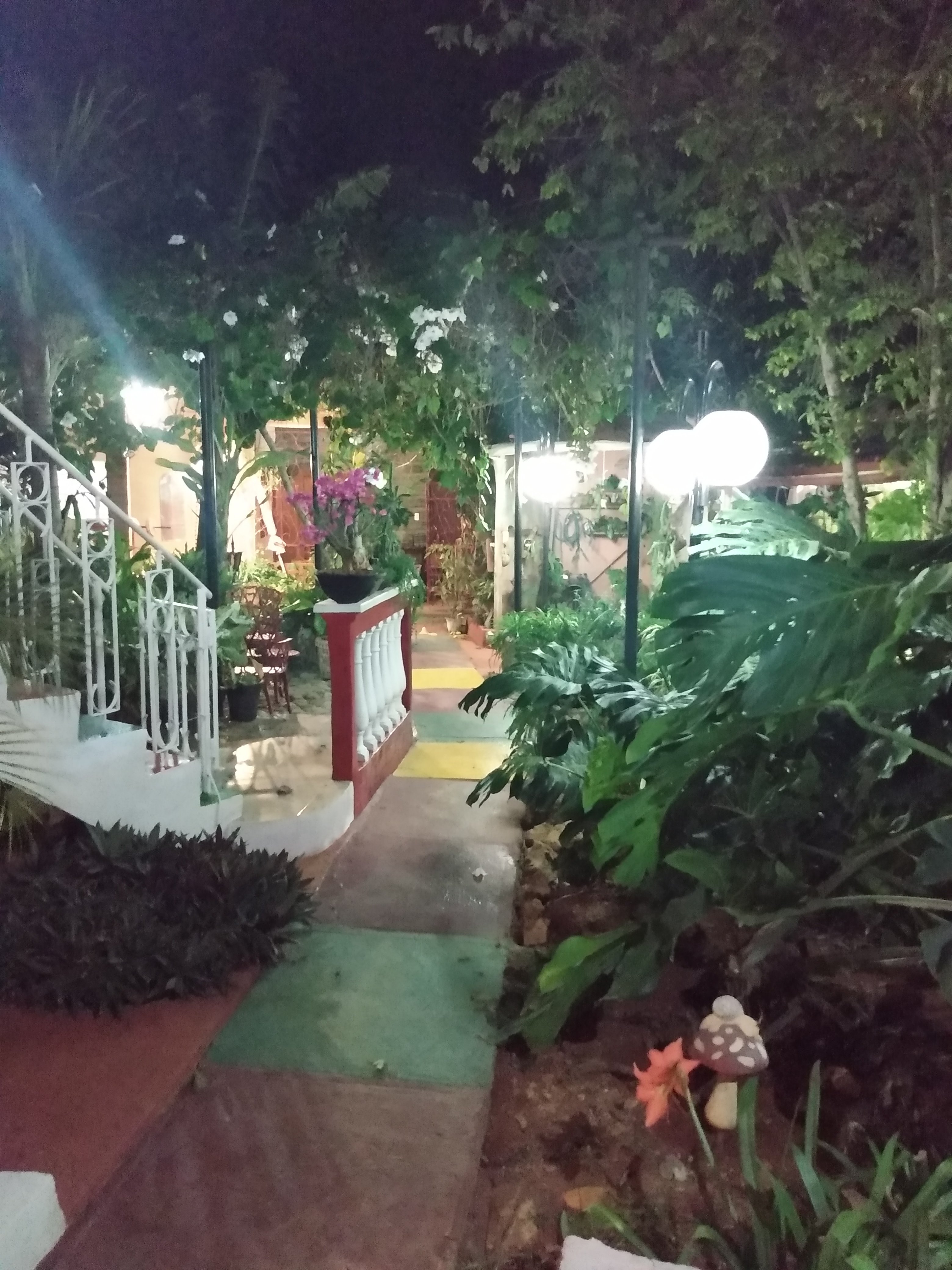 Hostal Villa Sonia-portrait