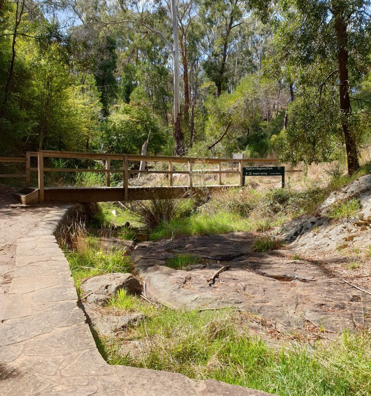 Hepburn Mineral Springs Reserve-Hepburn Springs必去景点