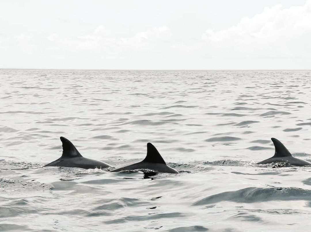 Ocean Maze-Kendwa必去景点