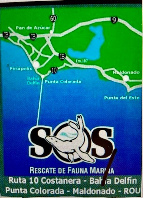 Playa Punta Colorada-Piriapolis必去景点