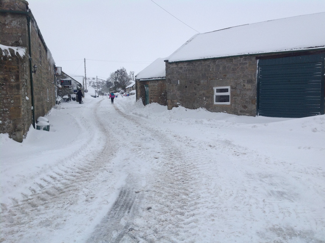 Rose and Thistle Inn主图