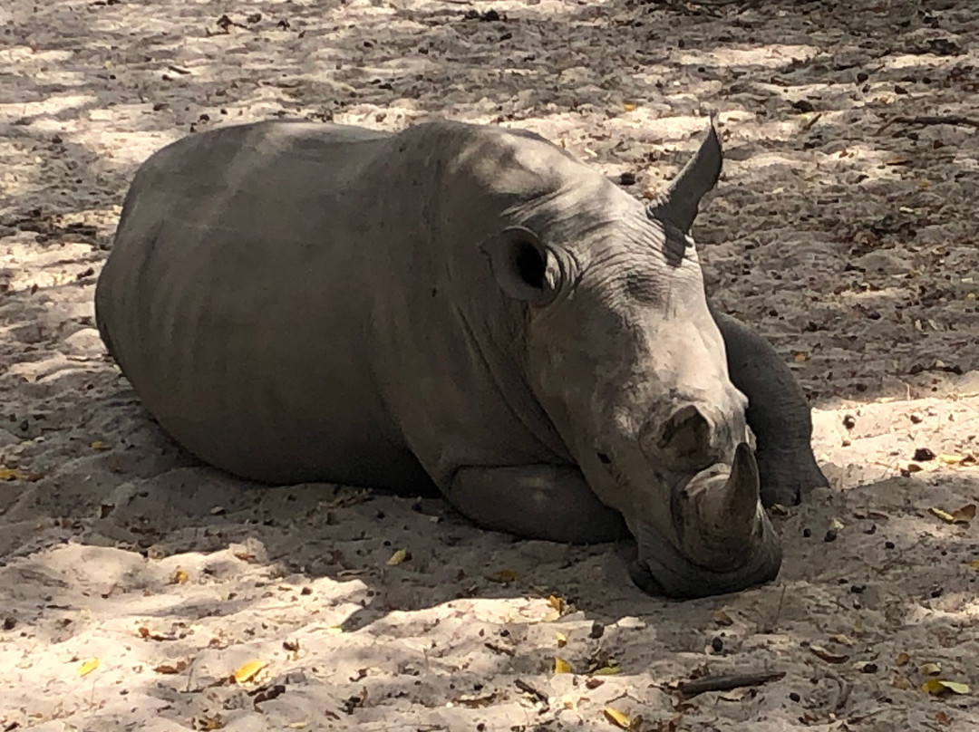 Gambia Safari-Bakau必去景点