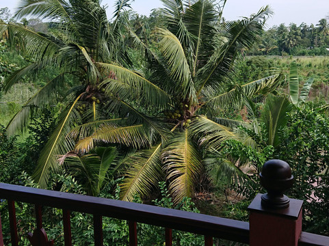 孔雀山庄别墅主图