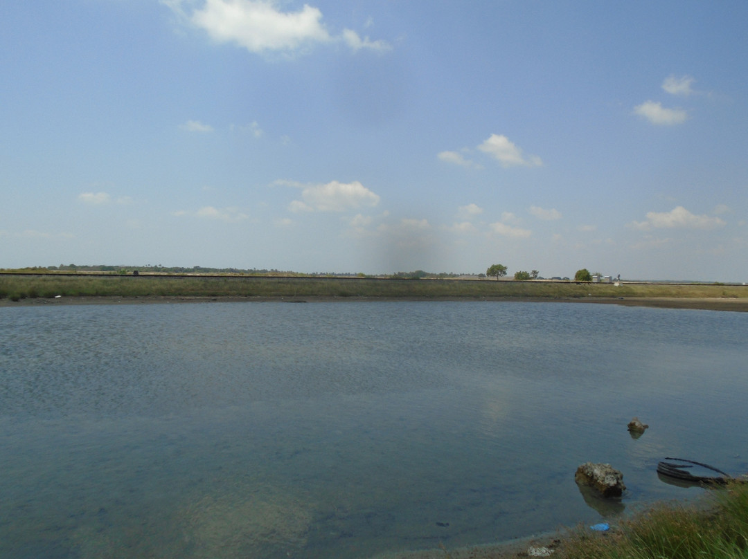 Elephant Pass-贾夫纳必去景点