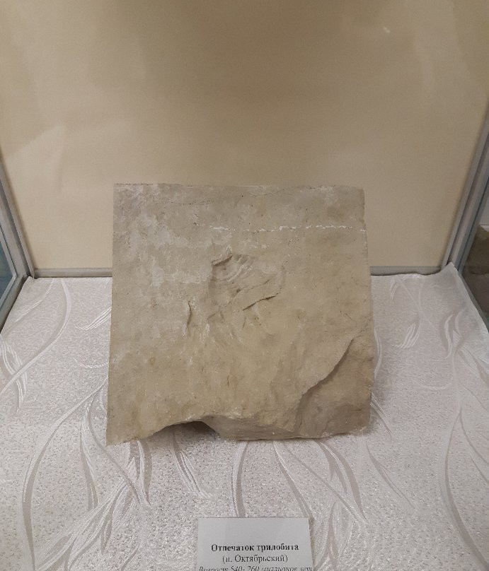 Oktyabrskiy District Museum-Oktyabrskiy必去景点