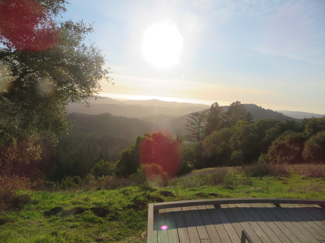 Russian Ridge Open Space Preserve景点图片