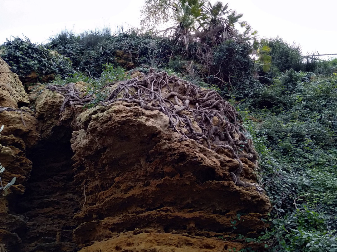 Giardino della Kolymbethra景点图片