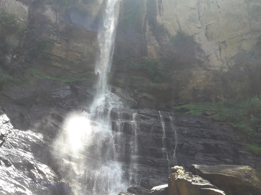 Lanka Inora Travels-佩拉德尼亚必去景点