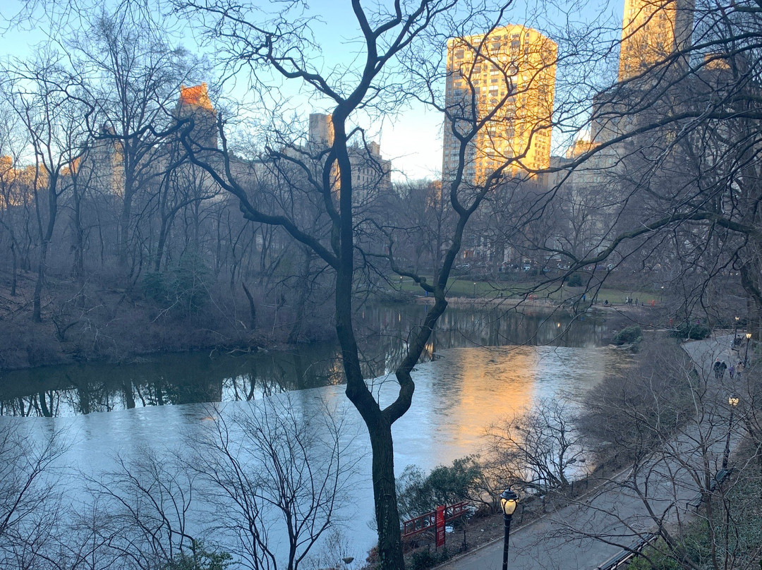 Gar Pond-White Springs必去景点