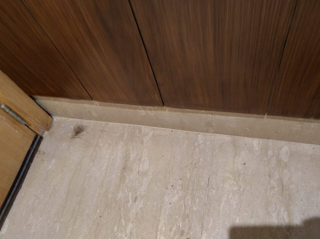 Hotel Gwalior Regency主图