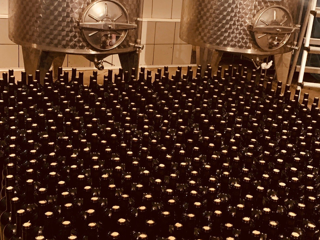 Basileo Wine and Vineyard景点图片