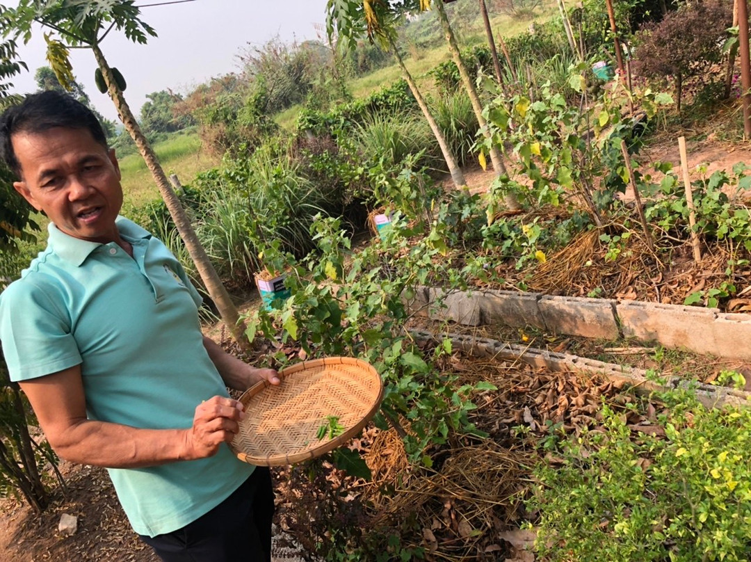 Baan SanSai Cookery School-讪柿必去景点