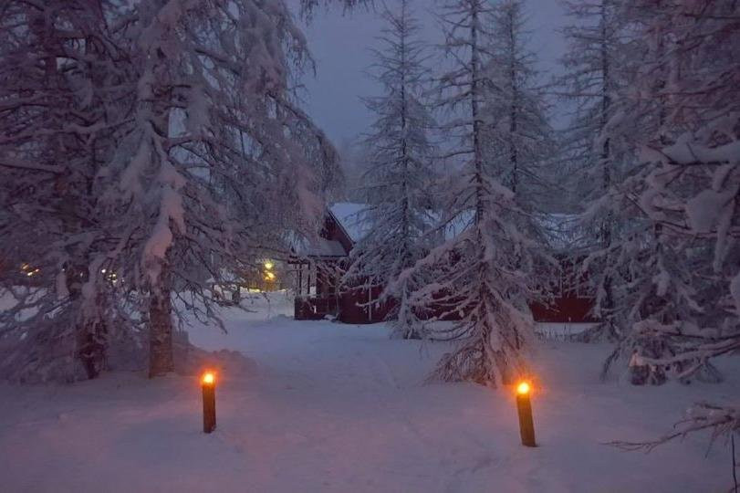 Old Pine Husky Lodge-凯米必去景点