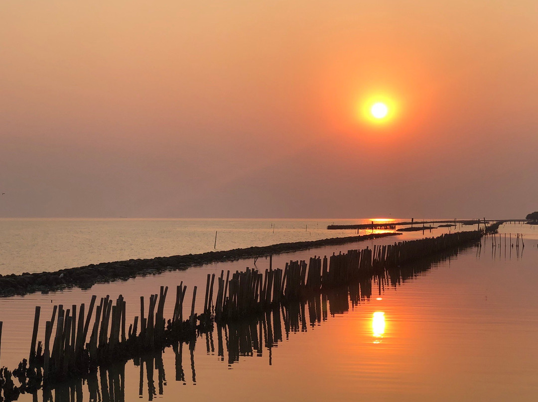 Wooden Red Bridge-龙仔厝必去景点