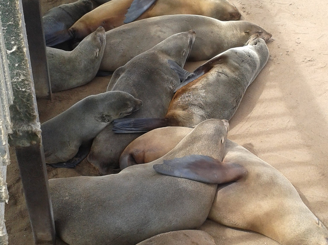Cape Cross-Erongo Region必去景点