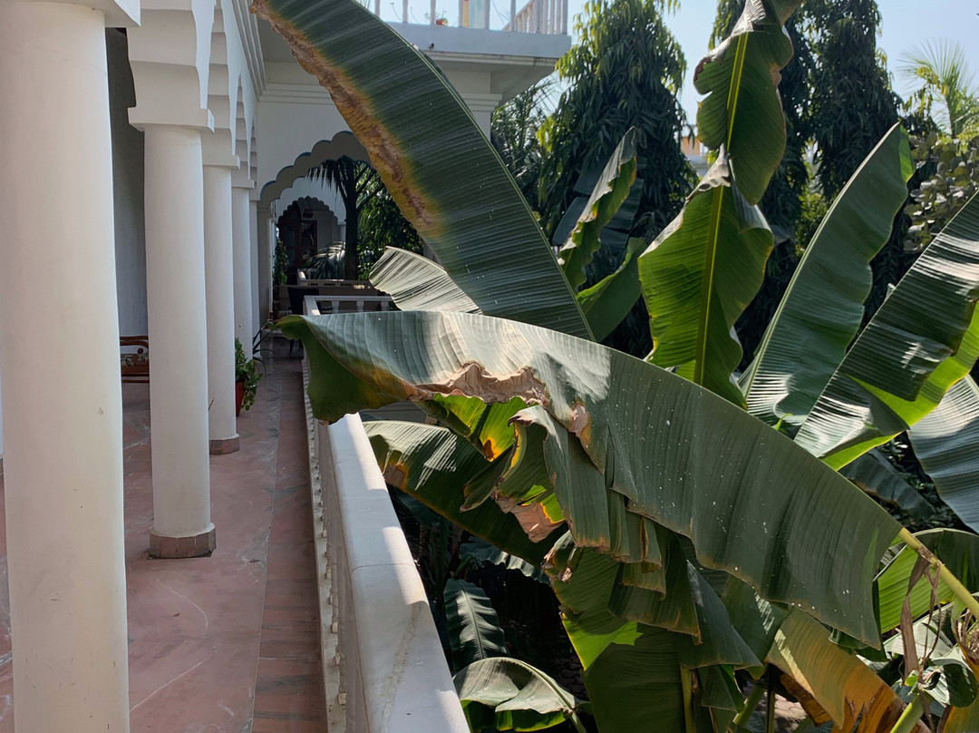 伊莎贝尔宫酒店主图