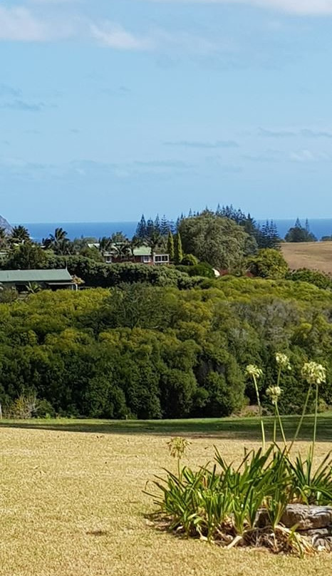 Castaway Norfolk Island主图