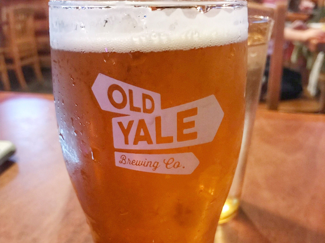 The Old Settler Pub-哈里逊温泉必去景点